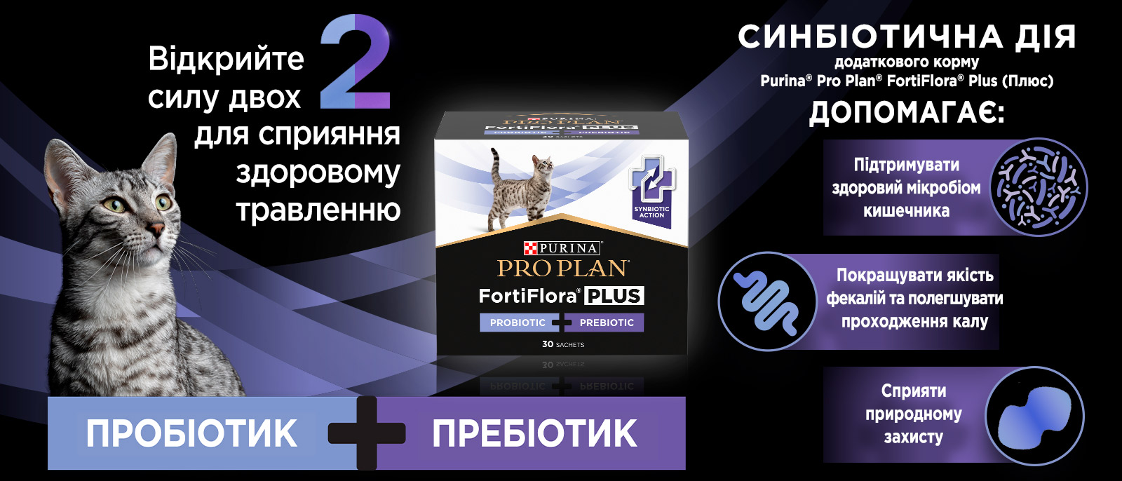 Асортимент кормів PURINA