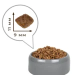 e2c7fd8b-5364-4365-b29f-fa6ab1ac6d12