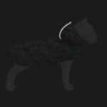 Дощовик-накидка з капюшоном для собак WAUDOG Clothes, малюнок Інжир XS,А 26-29 см,B 32-41см,С 21-26см-1