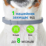 Foresto (Форесто) by Bayer Animal Протипаразитарний нашийник для собак та котів від блох і кліщів 38 см-1