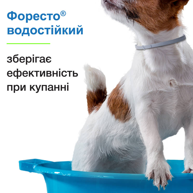 Foresto (Форесто) by Bayer Animal Протипаразитарний нашийник для собак та котів від блох і кліщів 38 см-7