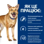 Hills (Хіллс) PD Canine ID, захворювання шлунково-кишкового тракту, панкреатит (AB+) 1,5кг-1