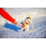 Іграшка для собак Liker Cord М’яч на шнурку 9 см-1