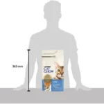 image_processing20240731-1-5xkkzw