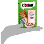 image_processing20240731-1-9abkyx