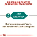 image_processing20240801-1-8xsq85