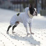 Комбінезон для собак WAUDOG Clothes малюнок Бетмен лого XS25, B 32-36 см, С 22-25 см-1