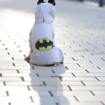 Комбінезон для собак WAUDOG Clothes малюнок Бетмен лого XS25, B 32-36 см, С 22-25 см-1