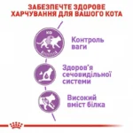 Корм сухий для стерилізованих котів від 1 до 7 років Royal Canin Sterilised 2 кг-1