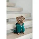 Костюм для собак Berry S-1