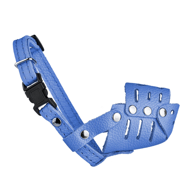 Намордник для собак малих порід шкіряний закритий голубий №0-2