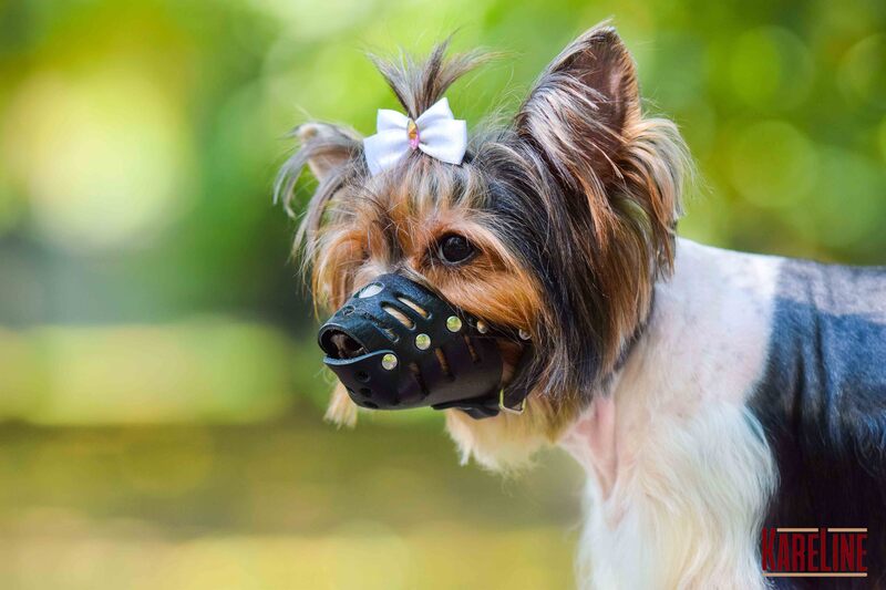 Намордник з натуральної шкіри для малих порід собак-3