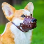 Намордник закритий для собак малих порід коричневий шкіряний №3-1