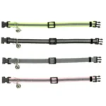 Нашийник для кошенят світловідбиваючий колір в асортименті-1