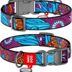 Нашийник для собак нейлоновий WAUDOG Nylon малюнок Літо пластиковий фастекс 25-35 см-1