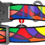 Нашийник для собак нейлоновий WAUDOG Nylon малюнок Вітраж 28-40 см-1