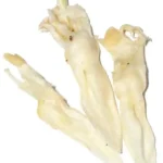 Натуральні ласощі для собак вуха кролика сушені кальциновані 10 шт уп-1