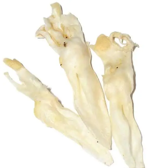 Натуральні ласощі для собак вуха кролика сушені кальциновані 1 шт