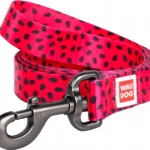 Повідець для собак нейлоновий WAUDOG Nylon, малюнок Кавун, ширина 20 мм, довжина 122 см-1