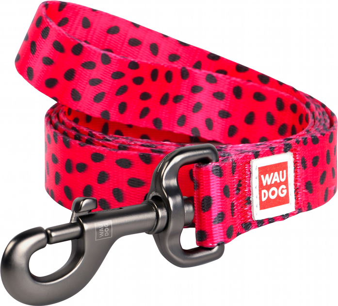 Повідець для собак нейлоновий WAUDOG Nylon, малюнок Кавун, ширина 20 мм, довжина 122 см