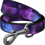 Повідець для собак нейлоновий WAUDOG Nylon, малюнок NASA21, ширина 20 мм, довжина 122 cм-1