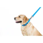 Повідець для собак водостійкий блакитний WAUDOG Waterproof довжина 122 см-1