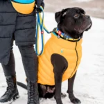 Повідець з нейлону, малюнок Colors of freedom, ширина 20 мм, довжина 122 cм-1