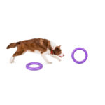 PULLER Standard (ПУЛЛЕР Стандарт) Ø 28 см – тренувальний снаряд для середніх і великих порід собак-1