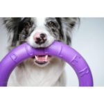 PULLER Standard (ПУЛЛЕР Стандарт) Ø 28 см – тренувальний снаряд для середніх і великих порід собак-1