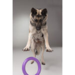 PULLER Standard (ПУЛЛЕР Стандарт) Ø 28 см – тренувальний снаряд для середніх і великих порід собак-1