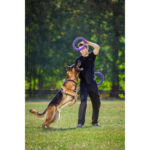 PULLER Standard (ПУЛЛЕР Стандарт) Ø 28 см – тренувальний снаряд для середніх і великих порід собак-1