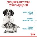 Royal Canin Medium Starter Mother&Babydog – Сухий корм для самок і щенят до 2-х місяців 1кг-1