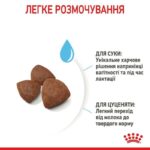 Royal Canin Medium Starter Mother&Babydog – Сухий корм для самок і щенят до 2-х місяців 1кг-1