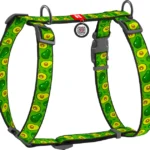 Шлея для собак анатомічна H-подібна WAUDOG Nylon, малюнок Авокадо, розмір L-1