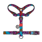 Шлея для собак анатомічна H-подібна WAUDOG Nylon малюнок Літо, розмір М-1