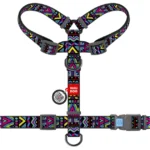 Шлея для собак анатомічна WAUDOG Nylon з QR паспортом, малюнок Інді, розмір М-1
