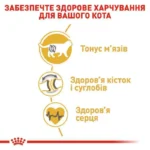 Сухий корм для британських короткошерстих дорослих котів Royal Canin British Shorthair Adult з м’ясом птиці 2 кг-1