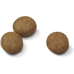 Сухий корм для цуценят великих порід Royal Canin Maxi Puppy з м’ясом птиці і рисом 15 кг-1