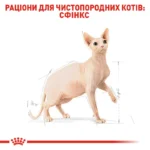 Сухий корм для дорослих кішок породи сфінкс Royal Canin Sphynx Adult, з м’ясом птиці, 2 кг-1