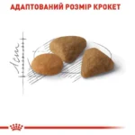 Сухий корм для дорослих котів вибагливих до харчування Royal Canin Exigent Savour 400 г-1