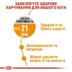 Сухий корм для кішок з проблемною шерстю Royal Canin Hair&Skin Care з куркою 0.4 кг-1