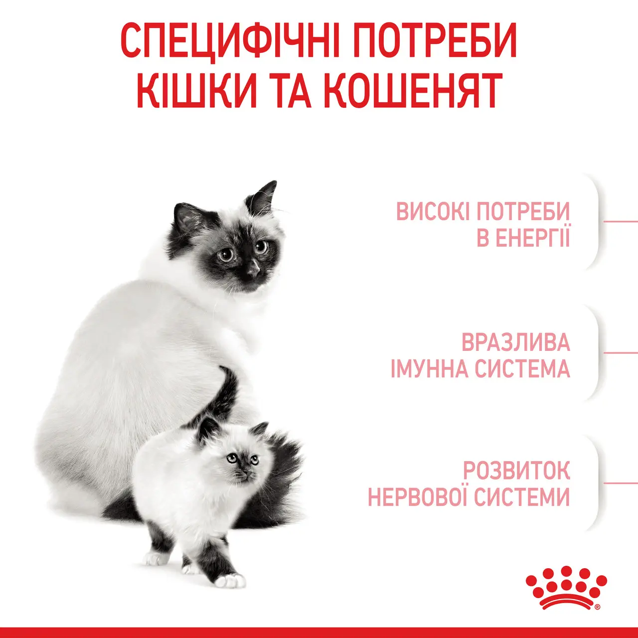 Сухий корм для кошенят Royal Canin Mother and Babycat м’ясо птиці та рис 2 кг-4