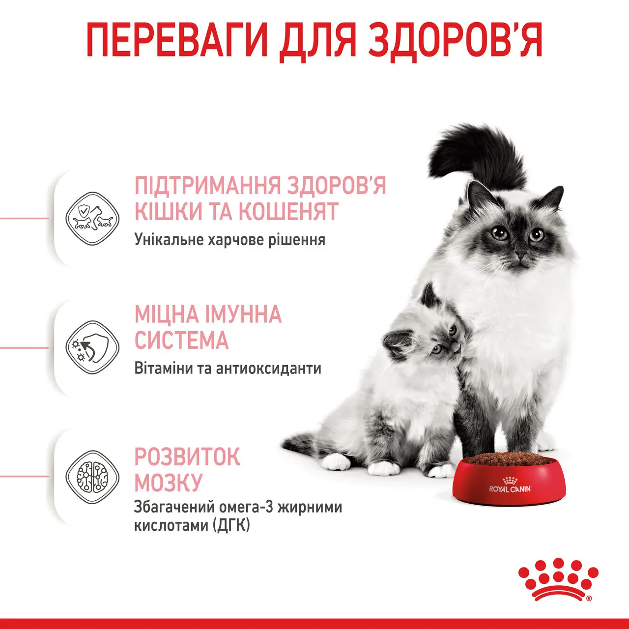 Сухий корм для кошенят Royal Canin Mother and Babycat м’ясо птиці та рис 2 кг-5