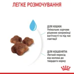 Сухий корм для кошенят Royal Canin Mother and Babycat м’ясо птиці та рис 400г-1