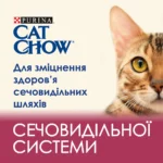 Сухий корм для котів для підтримки здоров’я сечовивідної системи Cat Chow Urinary Tract Health з куркою 15 кг-1