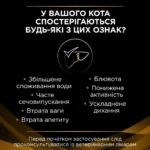 Сухий корм для котів при захворюваннях нирок Pro Plan Veterinary Diets NF Renal Function EARLY CARE 1,5 кг-1