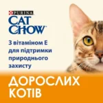 Сухий корм для котів з куркою Cat Chow 15 кг-1