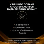 Сухий корм для собак, при захворюваннях нирок Pro Plan Veterinary Diets NF Renal Function 1,5 кг-1