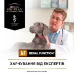 Сухий корм для собак, при захворюваннях нирок Pro Plan Veterinary Diets NF Renal Function 1,5 кг-1