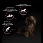 Сухий корм для собак Purina Pro Plan Small & Mini Sensitive лосось 7 кг-1